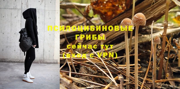 альфа пвп Гусев
