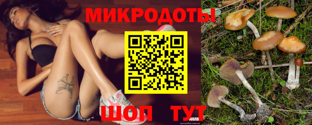 Гуково  Псилоцибиновые грибы GOLDEN TEACHER  Вход с VPN 