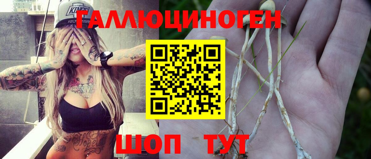 Галлюциногенные грибы мицелий Гуково