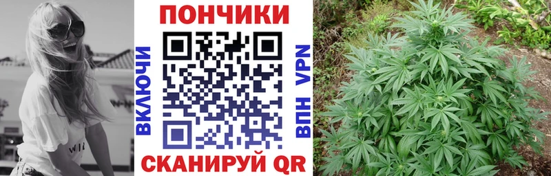 где купить наркоту  ОМГ ОМГ зеркало  Конопля сатива  Гуково 
